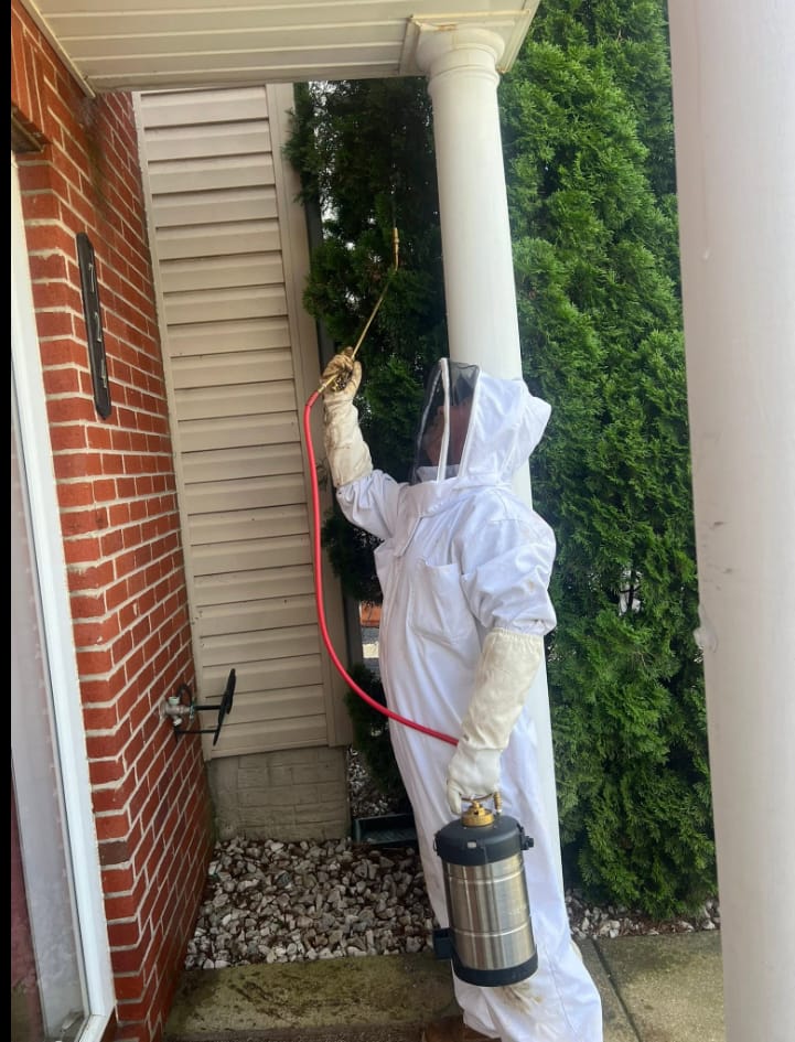 Buckie's technician in a protective suit treating the eaves of a brick home